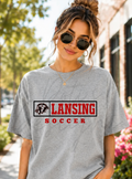 Lansing Lions Soccer