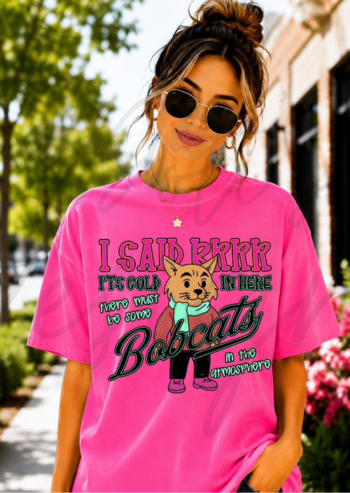 Brrr Bobcat Mascot